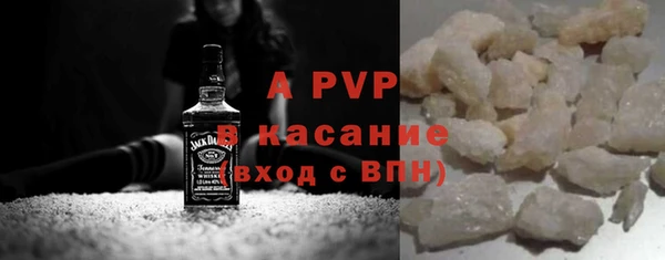 PSILOCYBIN Аркадак