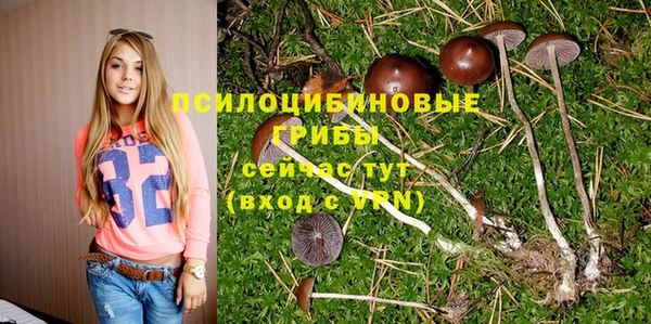 MDMA Premium VHQ Арсеньев