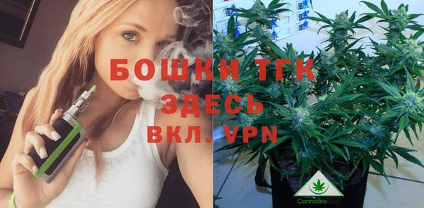PSILOCYBIN Аркадак