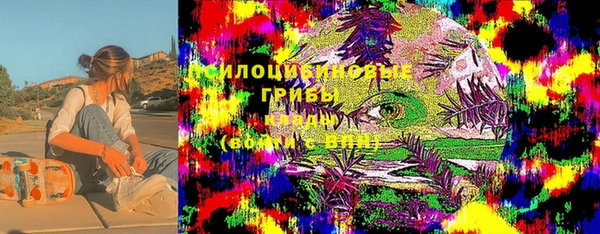 spice Алексеевка