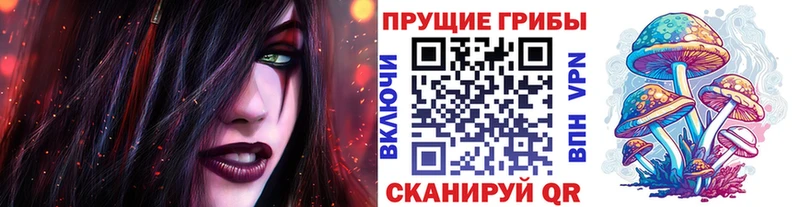 Галлюциногенные грибы Psilocybe дарнет шоп Аркадак