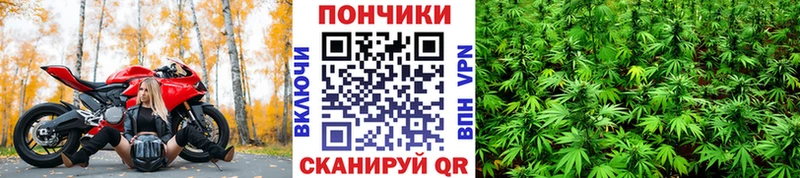 Бошки марихуана план  закладка  Аркадак 